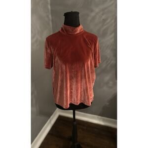 Madewell Women’s Mock Neck Short Sleeves Velvet Fall Orange‎ Top In Size M